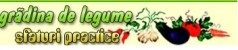 gradinadelegume.uv.ro