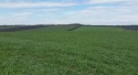 Fermierii români primesc finanțare pentru cererile eligibile fără fonduri - vezi cum!