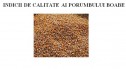 Indicii de calitate ai porumbului boabe