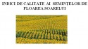 Indicii de calitate ai semintelor de floarea soarelui