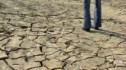 APIA: Cererile de despăgubiri pentru pagubele cauzate de secetă trebuie depuse până pe 30 noiembrie