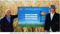Hibrizii de porumb DEKALB stabilesc recorduri de producţie