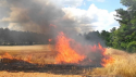 Subvențiile agricole reduse pentru fermierii care incendiază miriștile