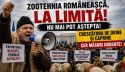 România vrea o nouă rută pentru oile românești către Orientul Mijlociu! Ce negociază MADR cu Turcia
