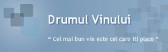 drumulvinului.blogspot.com
