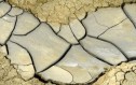 Sălaj: Pagubele produse de secetă, circa 235 milioane de lei; peste 187.000 ha au fost afectate