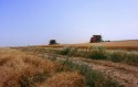 Seceta şi îngheţul au afectat peste un milion de hectare de teren agricol