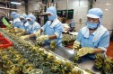 Fonduri pentru finanțarea investițiilor în procesarea produselor agricole