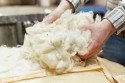 Crescătorii de ovine pot valorifica lâna în 20 de centre de colectare
