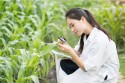 Corteva Agriscience și Symborg anunță acordul pentru produsul de fixare a azotului pe bazămicrobiană