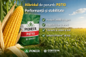 Hibridul de porumb P0710 - performanță și stabilitate în câmp, marca Pioneer (Corteva Agriscience)