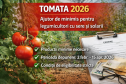 Tomata 2026: condiții de eligibilitate, producții minime și perioada de depunere a cererilor