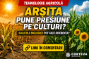 Arșița pune presiune pe culturi? Cum ajută soluțiile biologice plantele să facă față stresului