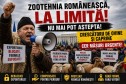 Zi cu tensiune pentru zootehnia româneasca: crescătorii de ovine si caprine cer măsuri urgente