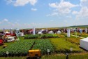 Mâine se deschide cel mai mare eveniment în câmp din România!