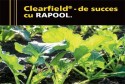 Fermierii aleg hibrizii Clearfield RAPOOL: Veritas CL, Phoenix CL, Duplex CL