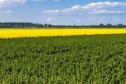 Deși produsele ECO sunt profitabile, deținem prea puține suprafețe certificate ecologic