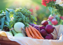 Descoperirea incredibilă care va revoluționa industria alimentară în următorii ani!