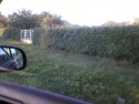  Gard viu protectie suprafete mari de teren, eco, ieftin