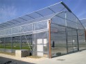 Sere pentru plante ornamentale  