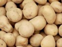 Cartofii se vând cu 30 de bani/kilogram