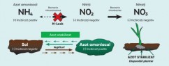 N-Lock MAX | Corteva Agriscience