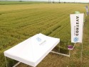 Corteva Agriscience a organizat un nou eveniment Portfolio Farm la Semlac - Arad