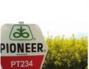 Hibridul PT234 - Provocare