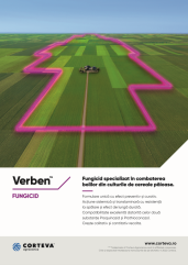 Verben - Un fungicid inovator pentru primul tratament la culturile de cereale păioase