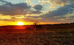 „Creditul Fermierului”: O mână întinsă către agricultori în vreme de criză