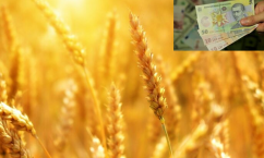Impactul scăderii prețurilor cerealelor asupra fermierilor români