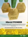 Hibrizii PIONEER și performanța susținută de Corteva Agriscience