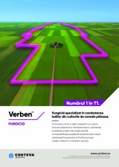 De ce să aleg fermierii fungicidul Verben pentru protecția culturilor de cereale